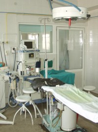 Свети Пантелеймон Лечител  християнски великомъченик и светец